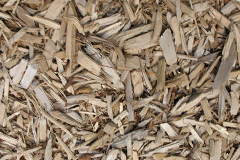 biomass boilers Rede